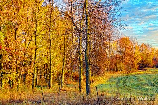 Autumn Landscape At Sunrise_29955.jpg - Photographed near Kilmarnock, Ontario, Canada.